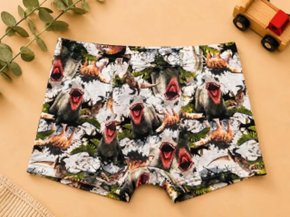 Chlapecké boxerky DINOSAURUS