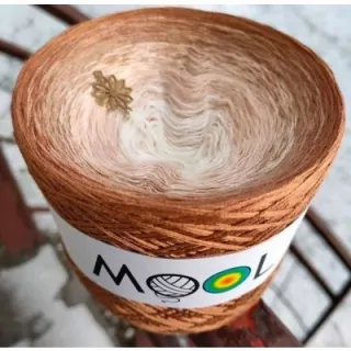 MOOL 206