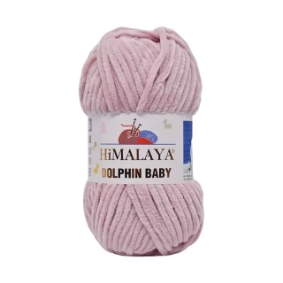 Dolphin baby  349