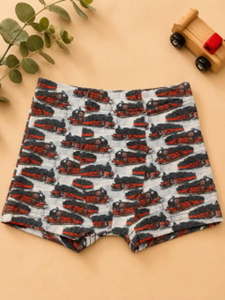 Chlapecké boxerky Lokomotiva